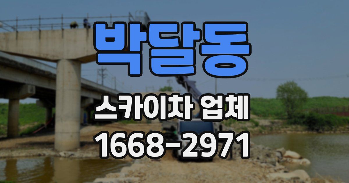 박달동 스카이차 업체