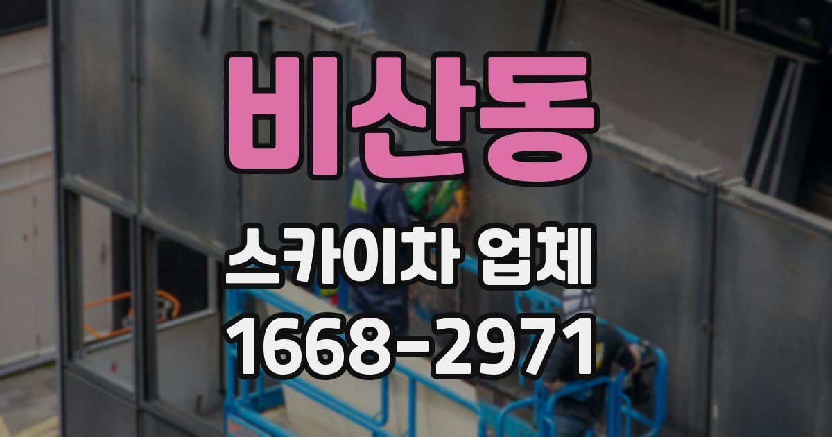 비산동 스카이차 업체