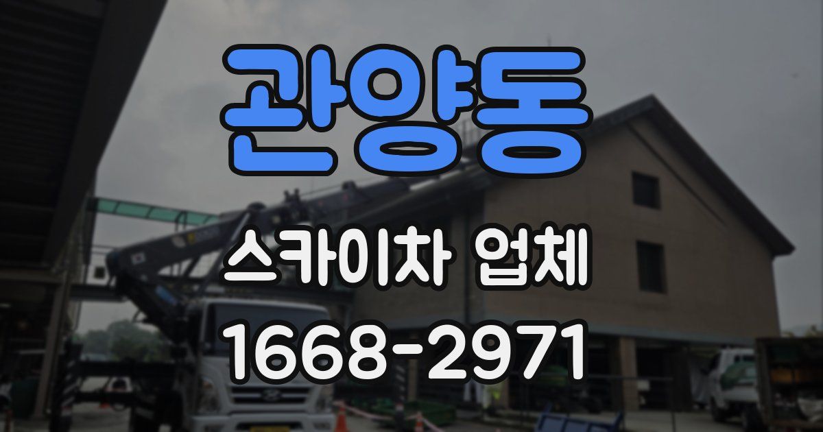 관양동 스카이차 업체