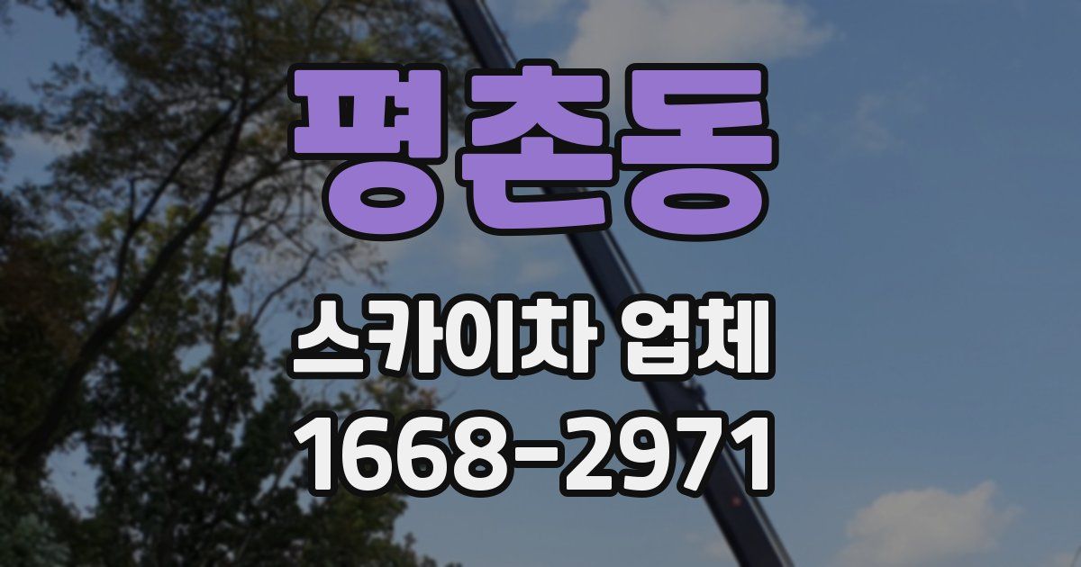 평촌동 스카이차 업체