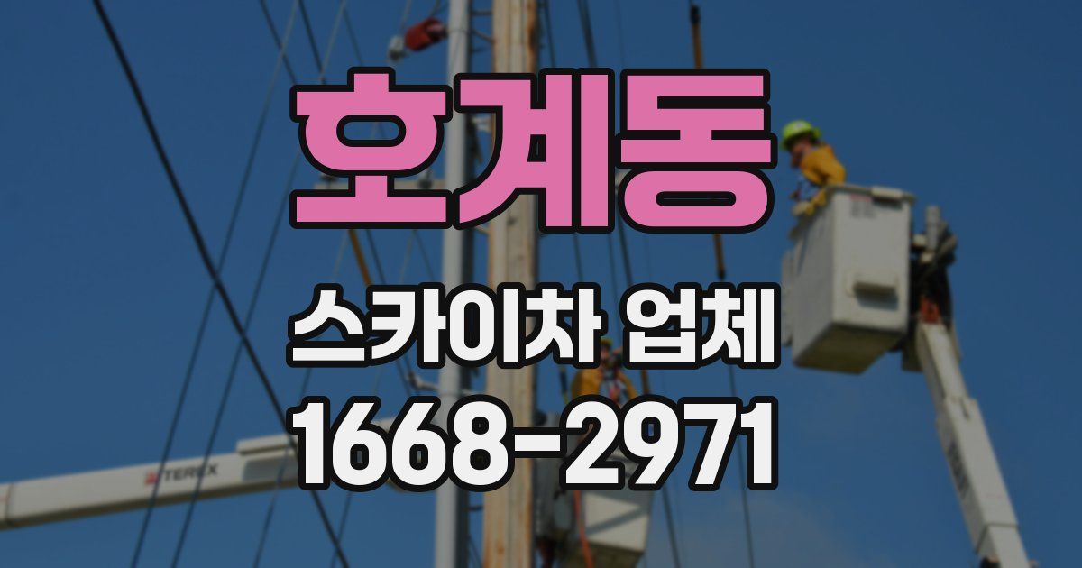 호계동 스카이차 업체