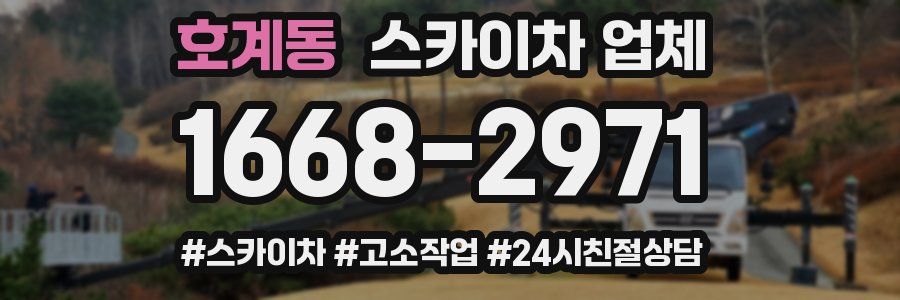 호계동 스카이차 업체