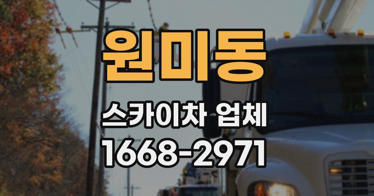 원미동 스카이차 업체