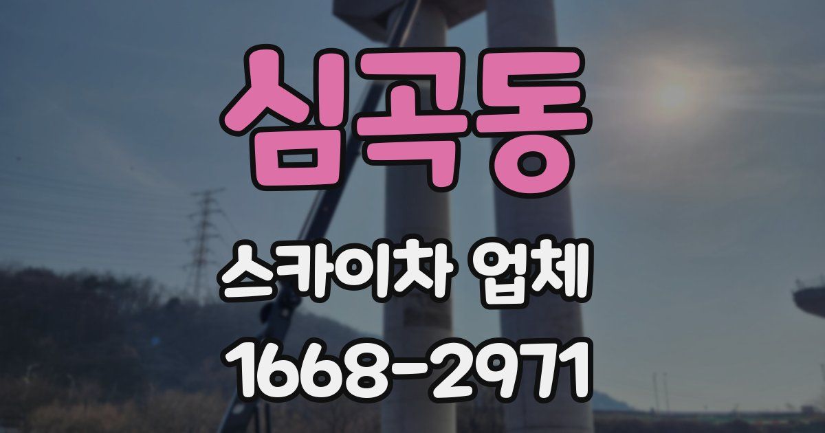 심곡동 스카이차 업체