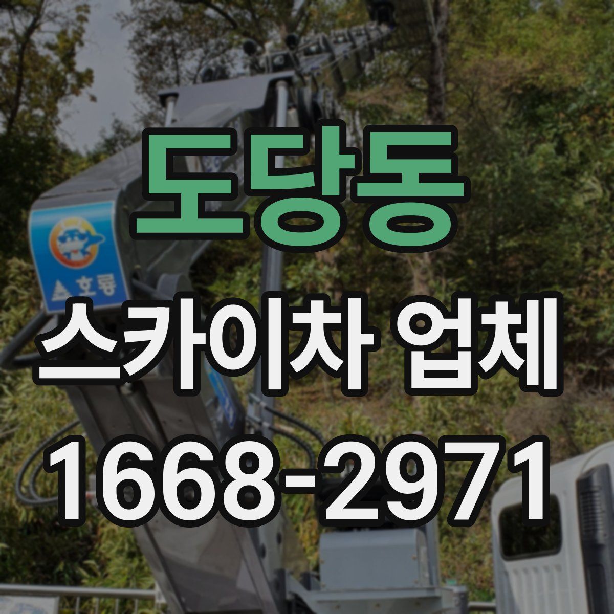 도당동 스카이차 업체