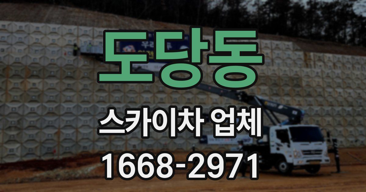 도당동 스카이차 업체