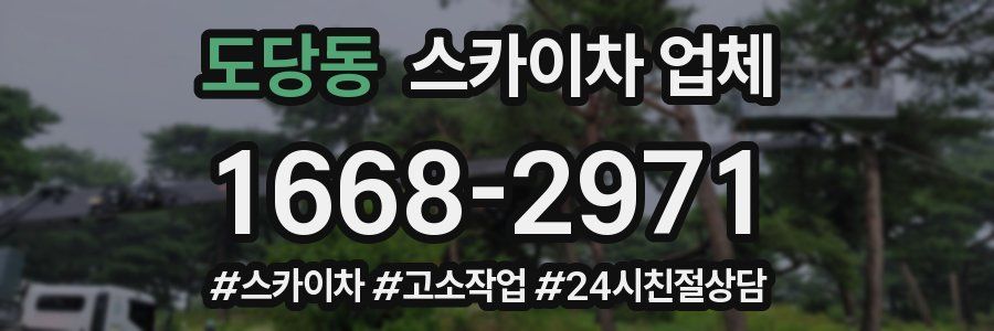 도당동 스카이차 업체
