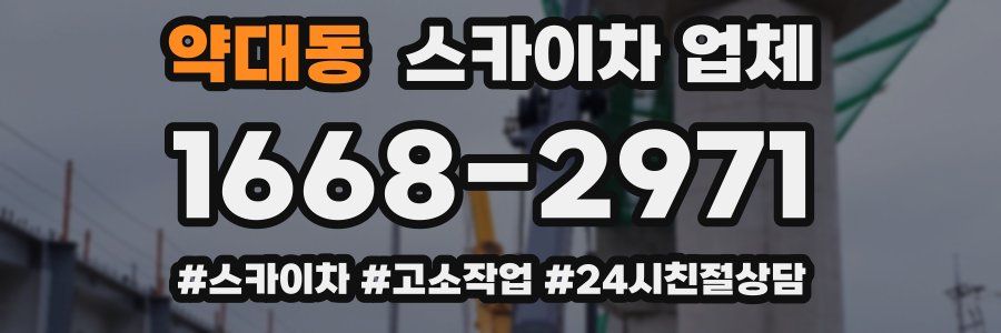 약대동 스카이차 업체