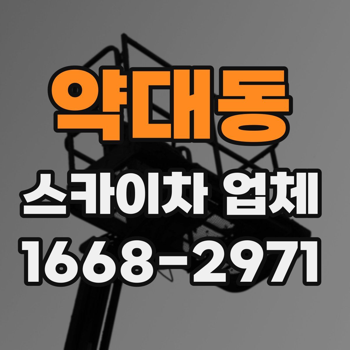 약대동 스카이차 업체