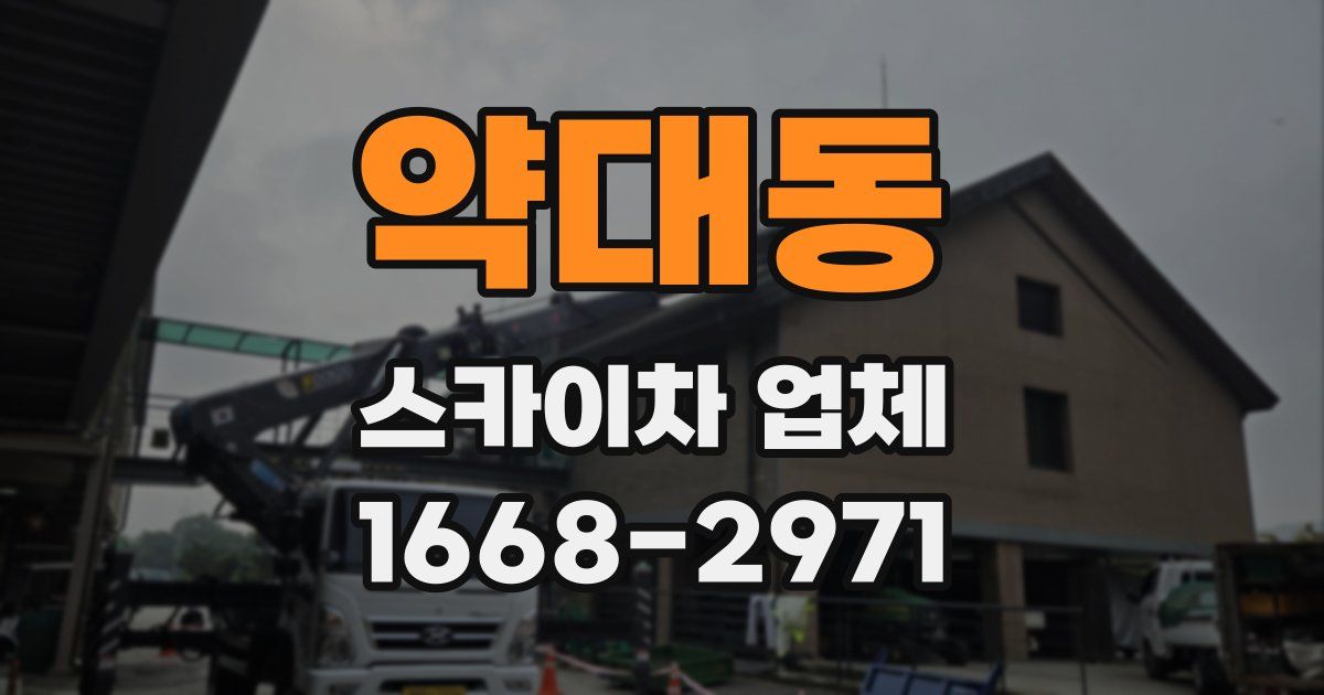 약대동 스카이차 업체