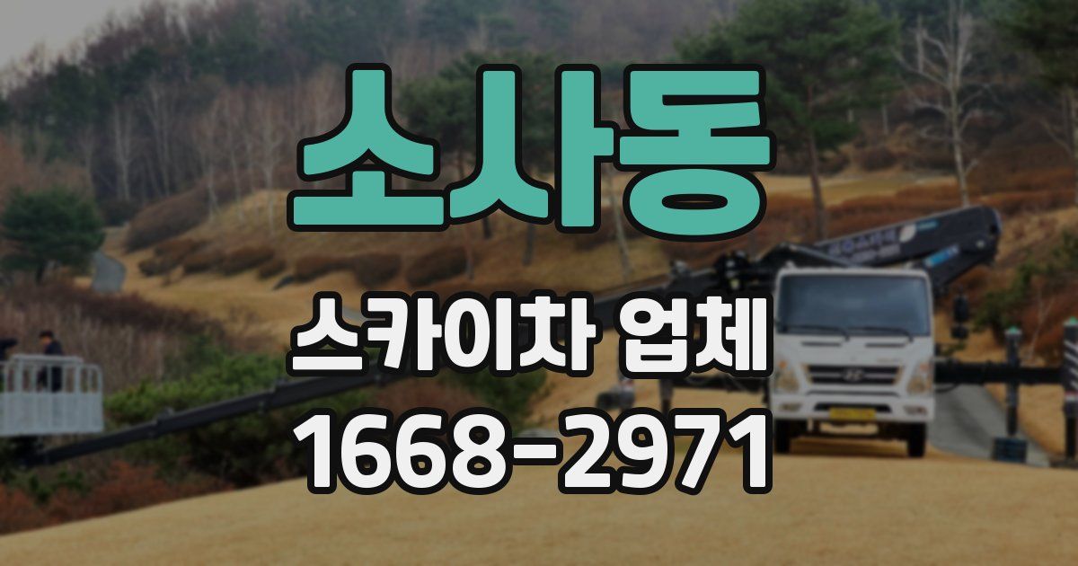 소사동 스카이차 업체
