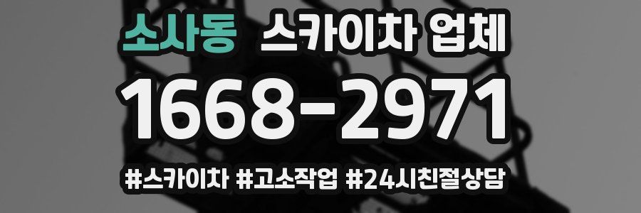소사동 스카이차 업체