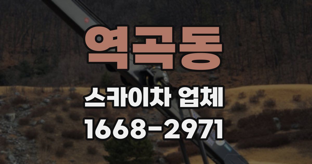 역곡동 스카이차 업체