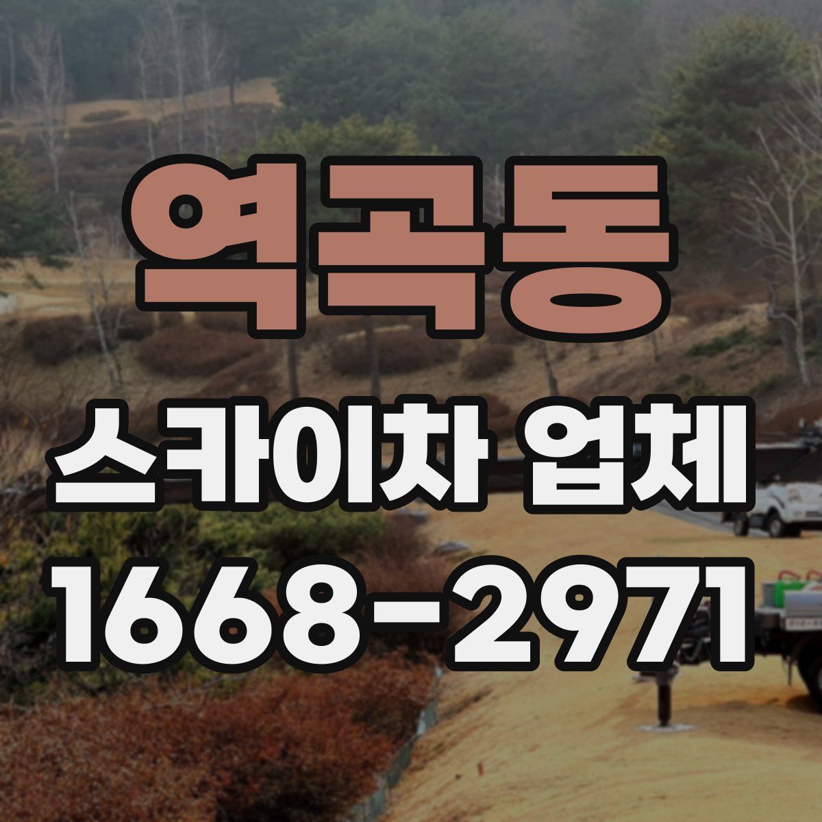 역곡동 스카이차 업체