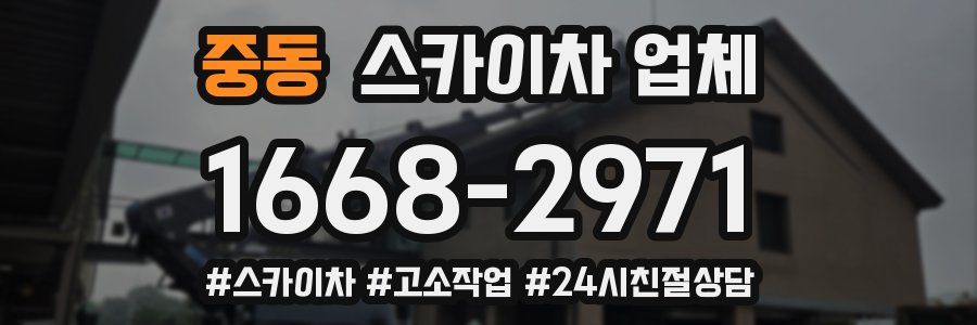 중동 스카이차 업체