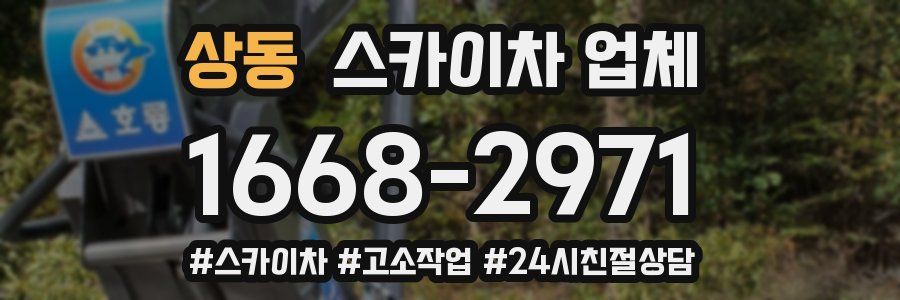 상동 스카이차 업체