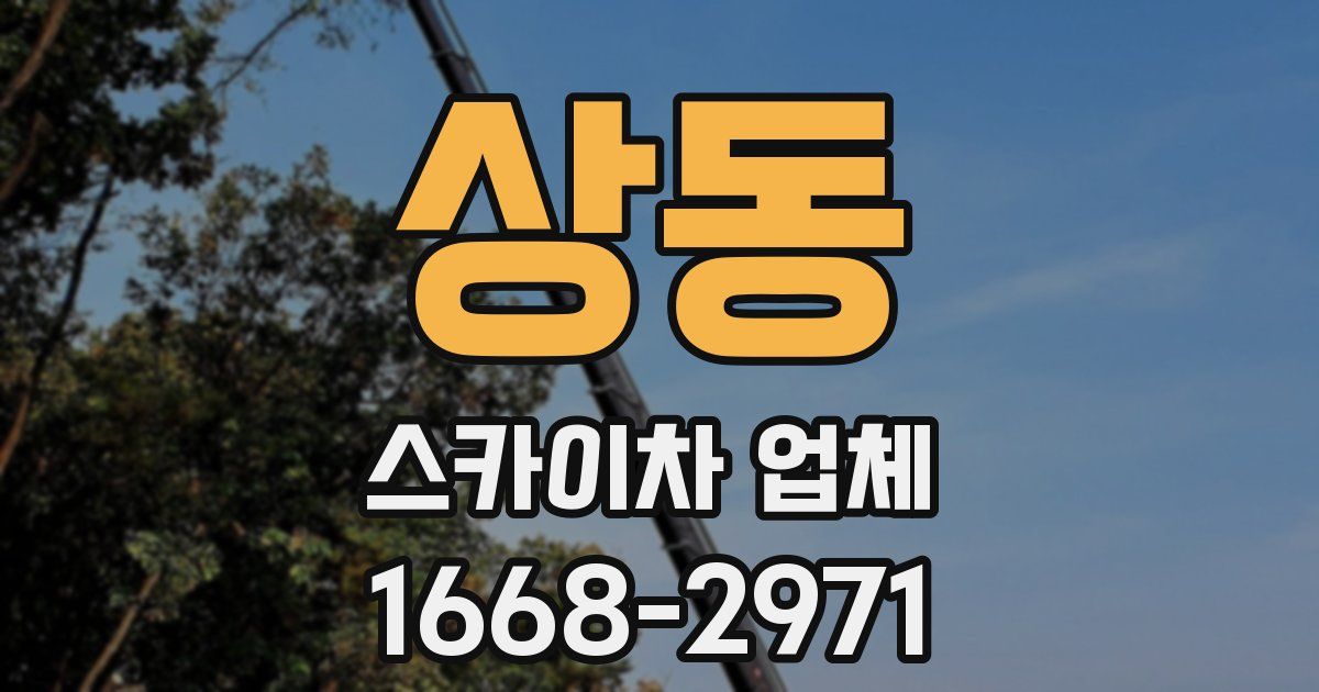 상동 스카이차 업체