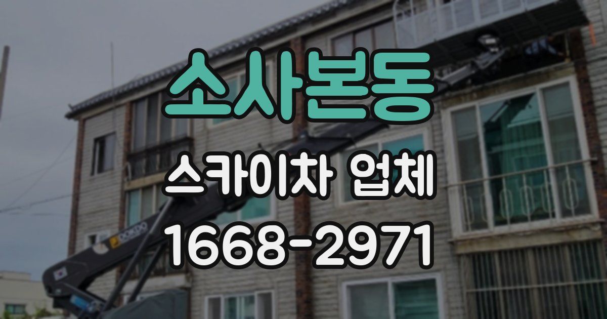 소사본동 스카이차 업체
