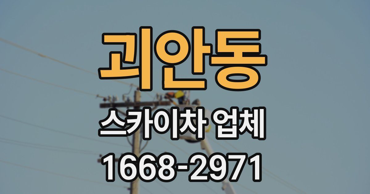 괴안동 스카이차 업체