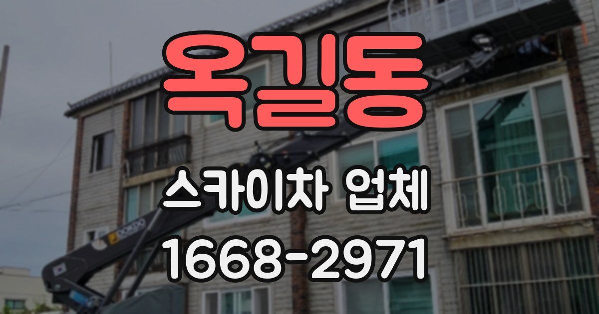 옥길동 스카이차 업체