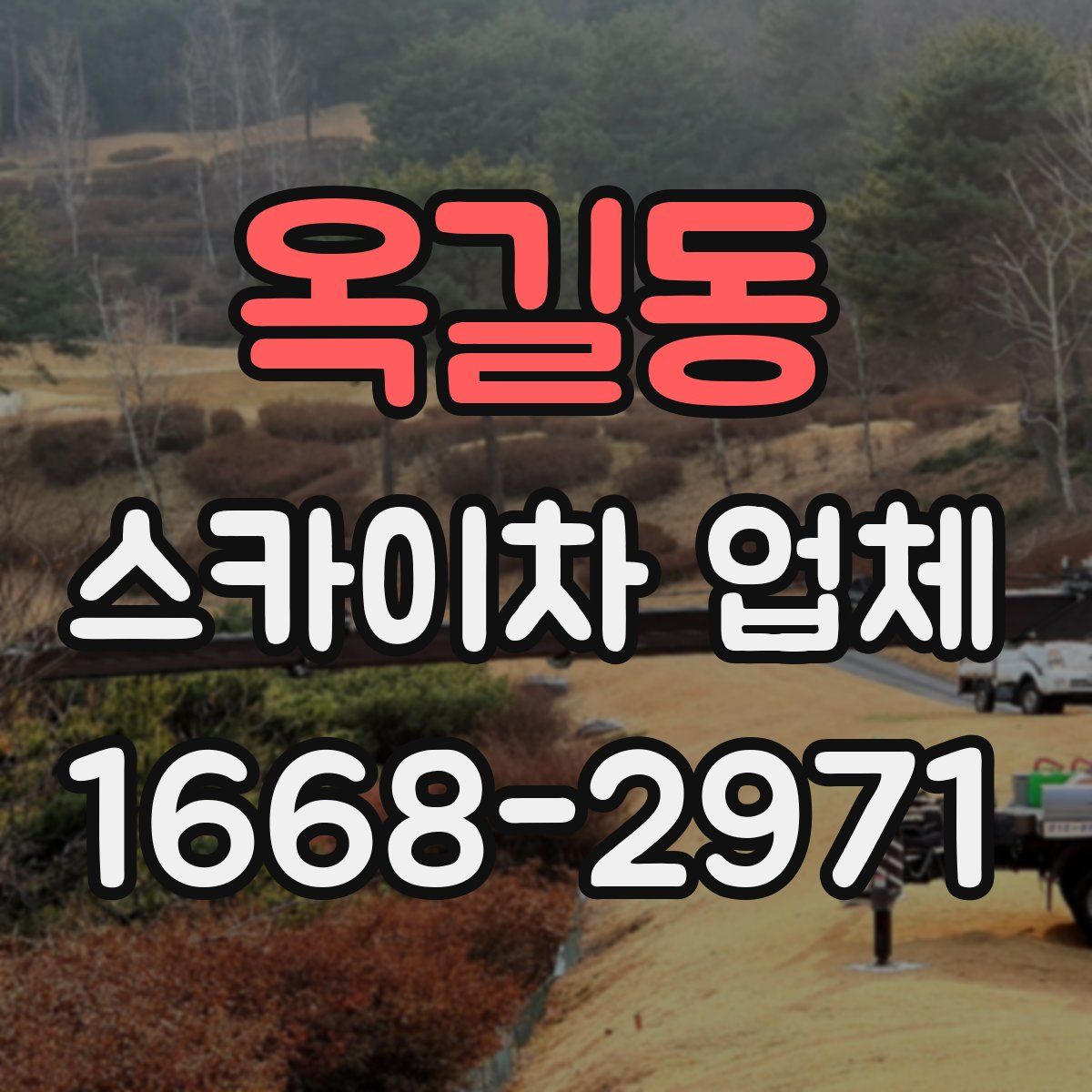 옥길동 스카이차 업체