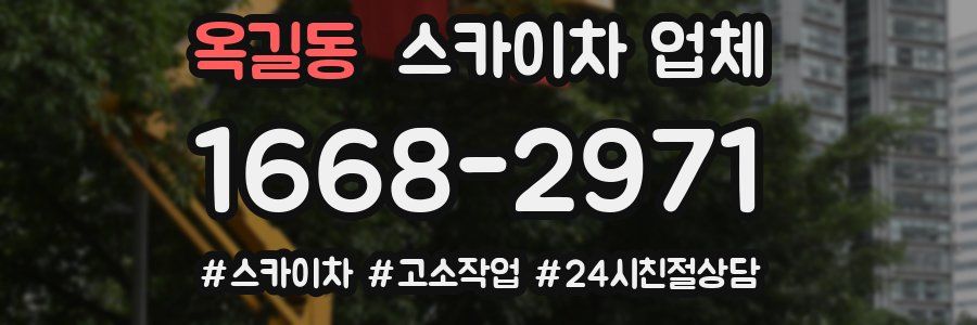 옥길동 스카이차 업체
