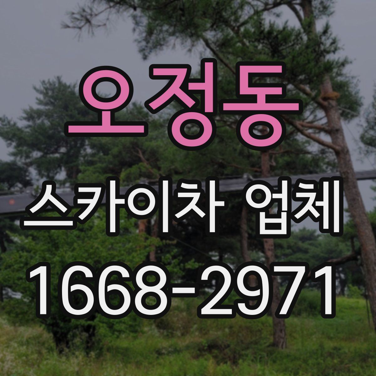 오정동 스카이차 업체