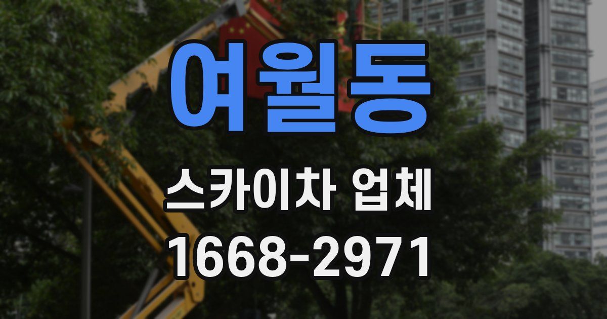 여월동 스카이차 업체
