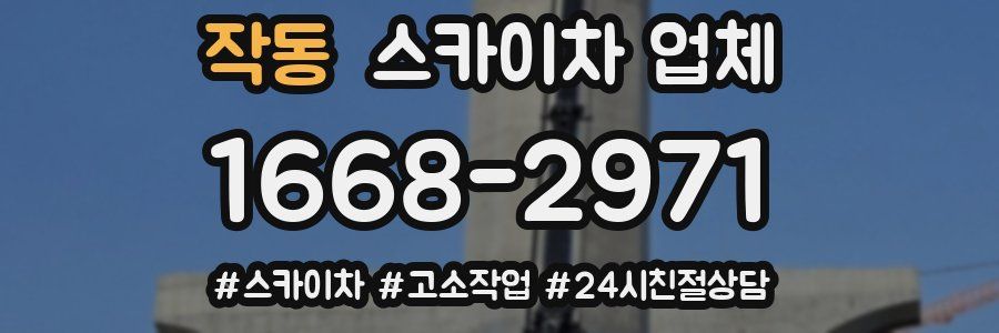 작동 스카이차 업체