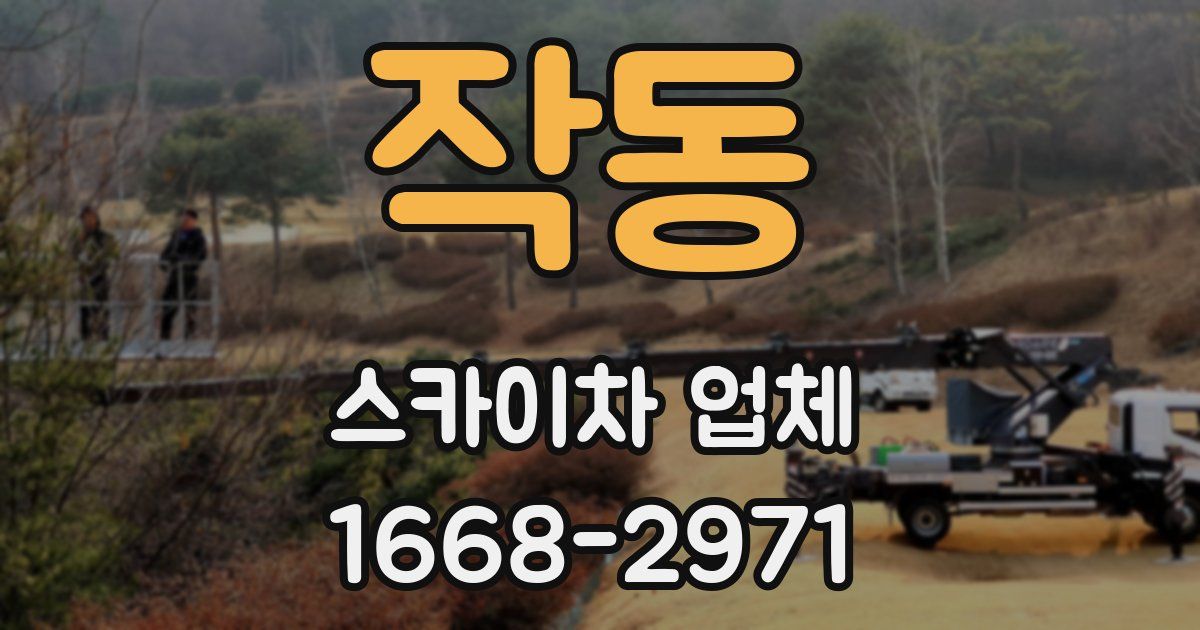 작동 스카이차 업체