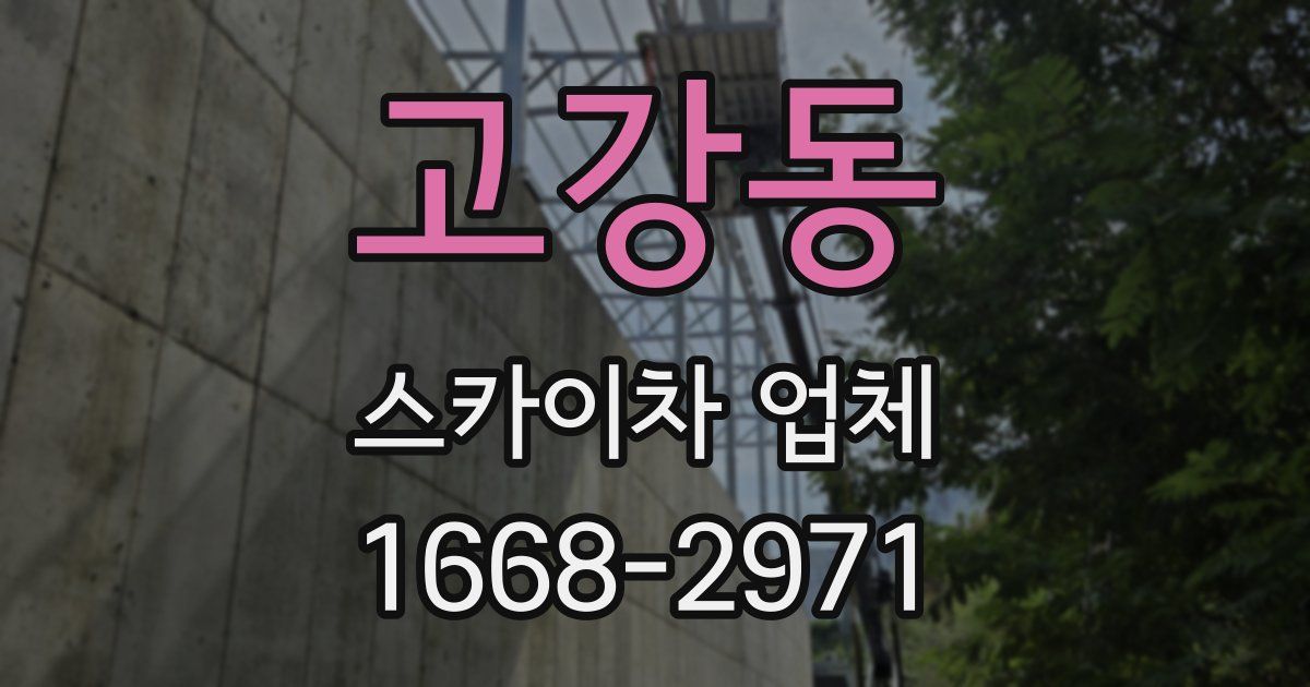 고강동 스카이차 업체