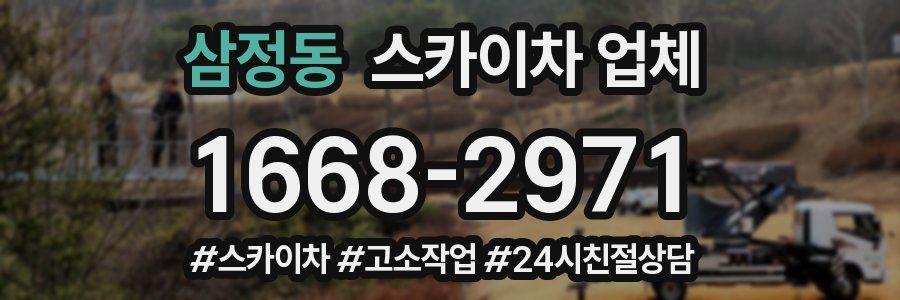 삼정동 스카이차 업체