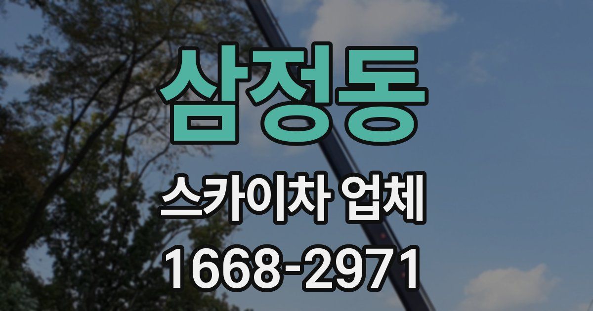 삼정동 스카이차 업체
