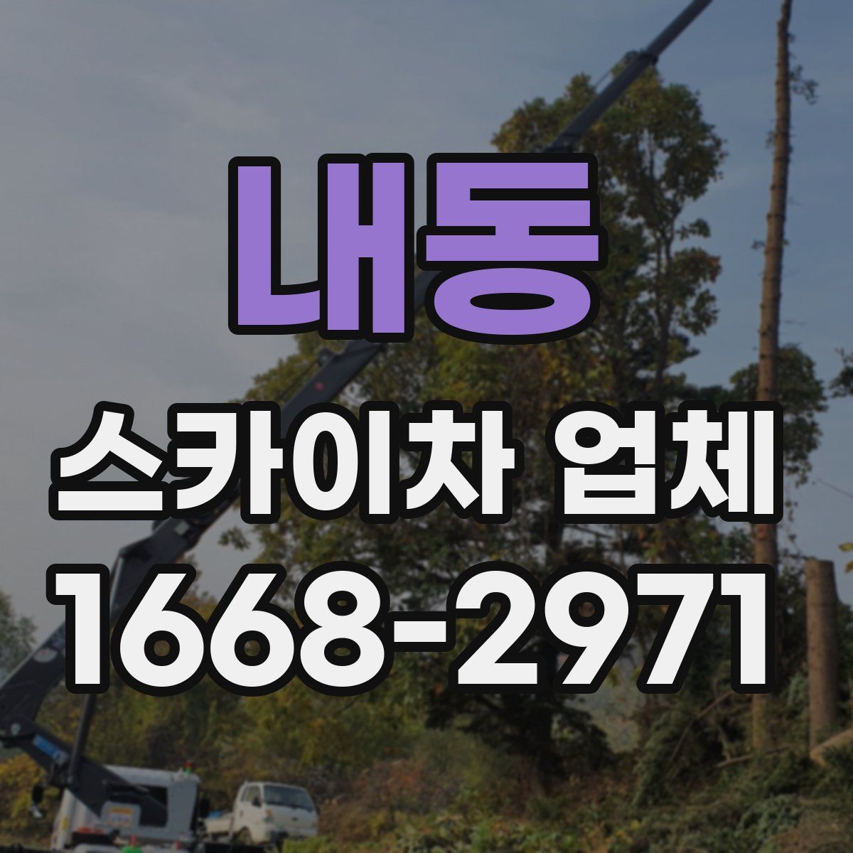 내동 스카이차 업체