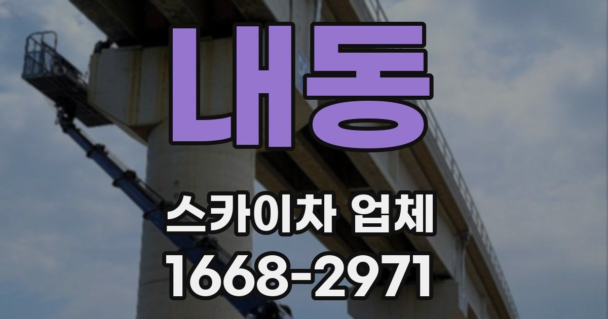 내동 스카이차 업체