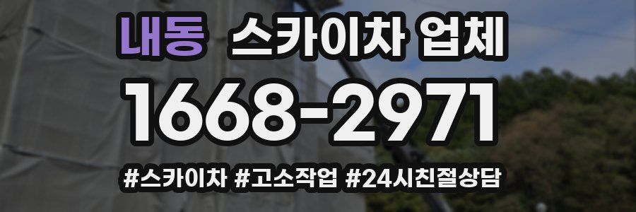 내동 스카이차 업체