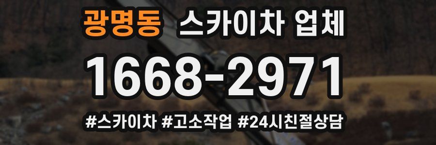 광명동 스카이차 업체