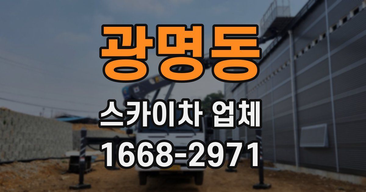 광명동 스카이차 업체
