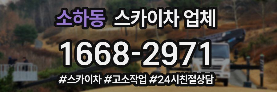 소하동 스카이차 업체