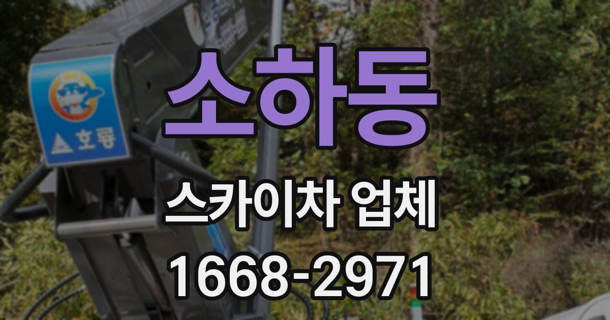 소하동 스카이차 업체