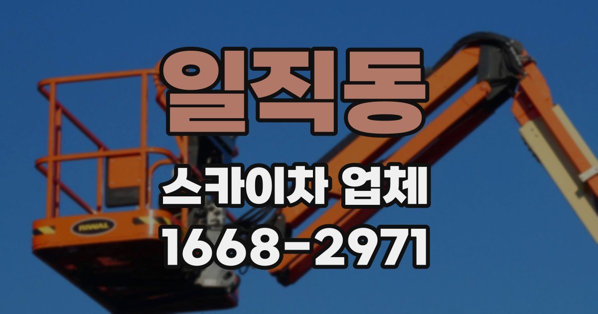 일직동 스카이차 업체