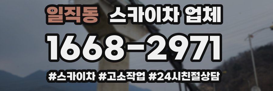일직동 스카이차 업체