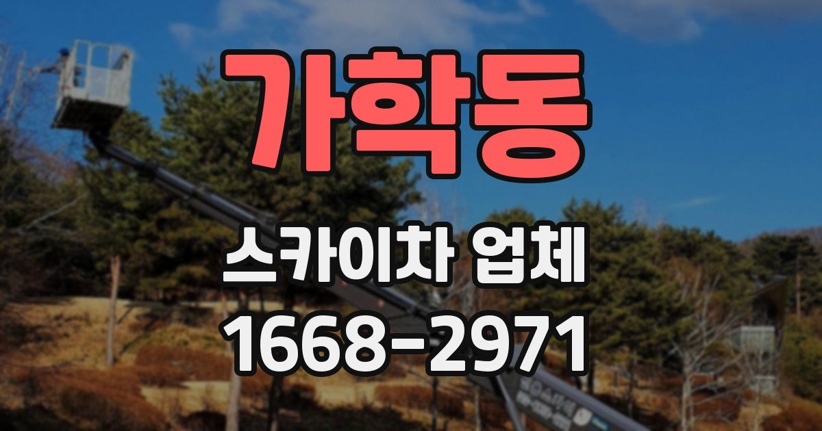 가학동 스카이차 업체