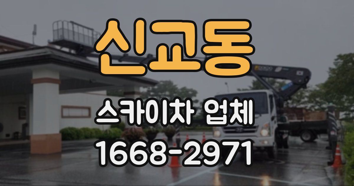 신교동 스카이차 업체