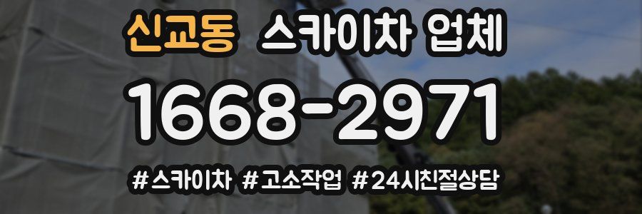 신교동 스카이차 업체