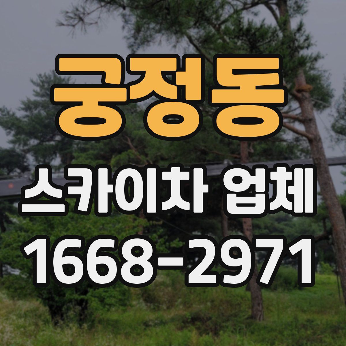 궁정동 스카이차 업체