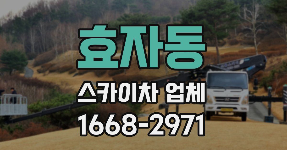 효자동 스카이차 업체