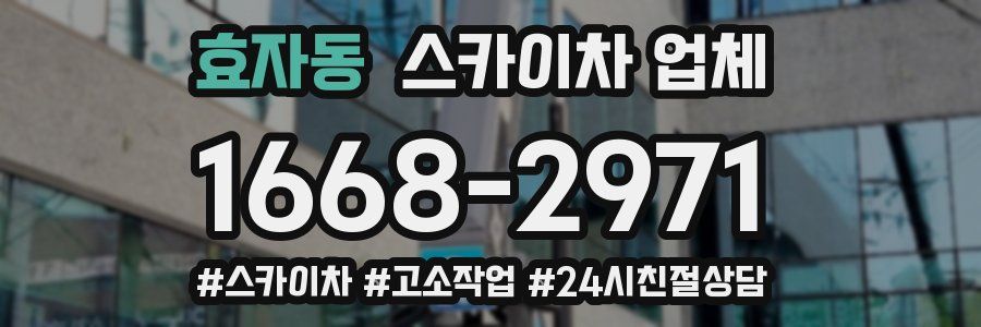 효자동 스카이차 업체