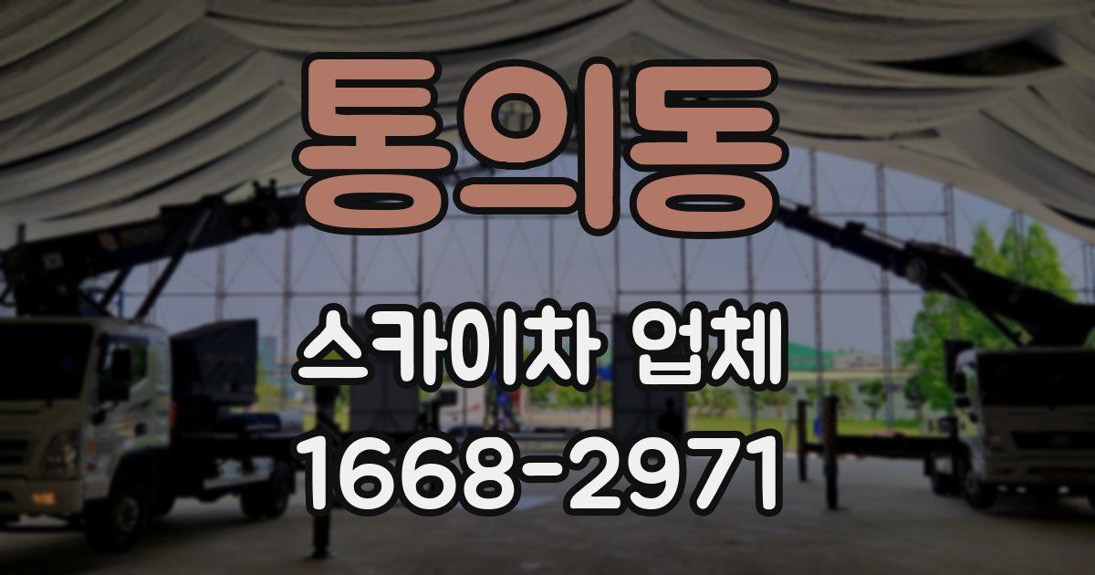 통의동 스카이차 업체