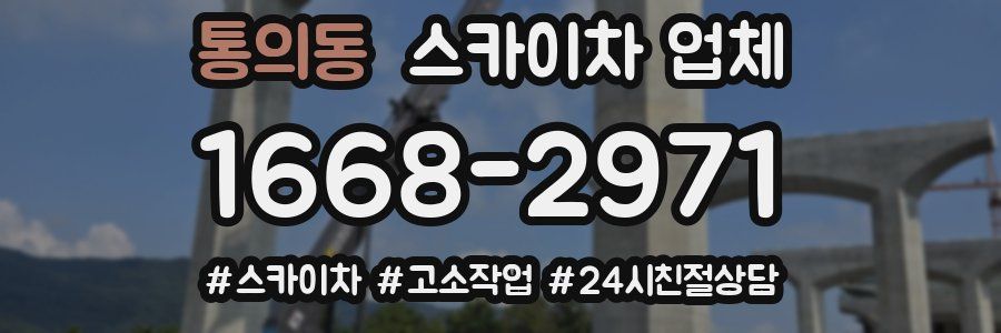 통의동 스카이차 업체